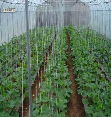 萊蕪市萊城區(qū)蔚霖節(jié)水灌溉產(chǎn)品經(jīng)營部